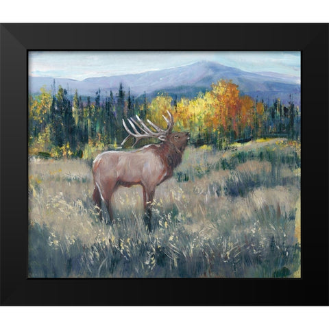 Rocky Mountain Elk II Black Modern Wood Framed Art Print by OToole, Tim