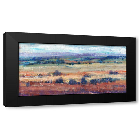 Temperate Terrain II Black Modern Wood Framed Art Print with Double Matting by OToole, Tim