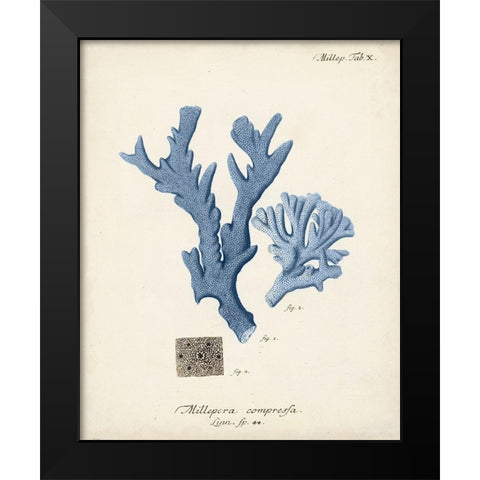 Antique Coral in Navy I Black Modern Wood Framed Art Print by Esper, Johann