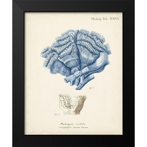 Antique Coral in Navy II Black Modern Wood Framed Art Print by Esper, Johann