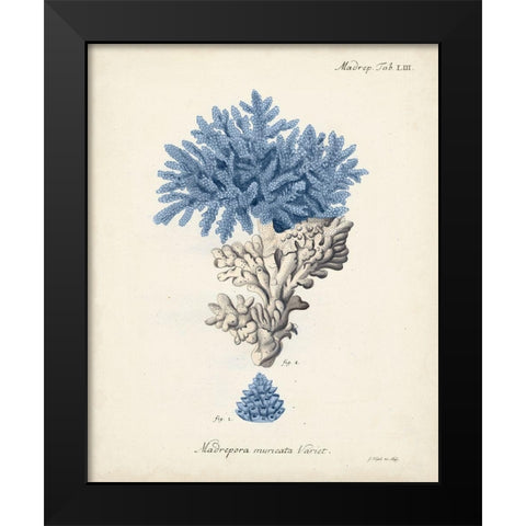 Antique Coral in Navy III Black Modern Wood Framed Art Print by Esper, Johann
