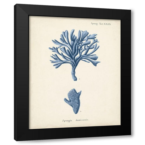 Antique Coral in Navy IV Black Modern Wood Framed Art Print by Esper, Johann