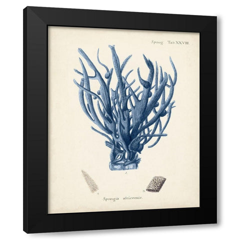 Antique Coral in Navy V Black Modern Wood Framed Art Print by Esper, Johann