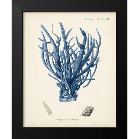 Antique Coral in Navy V Black Modern Wood Framed Art Print by Esper, Johann