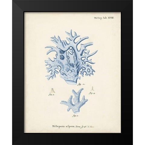 Antique Coral in Navy VI Black Modern Wood Framed Art Print by Esper, Johann