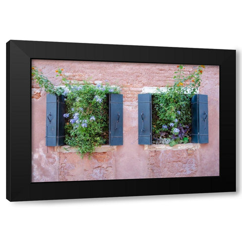 Italian Window Flowers II Black Modern Wood Framed Art Print with Double Matting by DeNardo, Laura