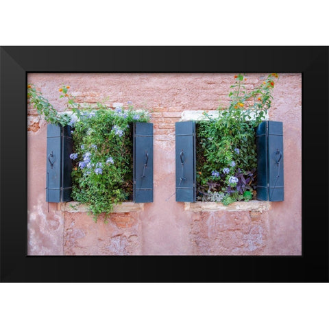 Italian Window Flowers II Black Modern Wood Framed Art Print by DeNardo, Laura