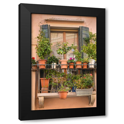 Italian Window Flowers III Black Modern Wood Framed Art Print with Double Matting by DeNardo, Laura