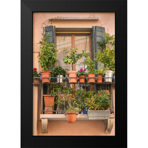 Italian Window Flowers III Black Modern Wood Framed Art Print by DeNardo, Laura