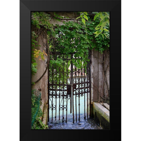 Elegant Canal Entrance Black Modern Wood Framed Art Print by DeNardo, Laura
