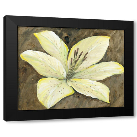 Neutral Lily II Black Modern Wood Framed Art Print by OToole, Tim