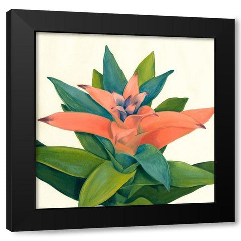 Tropical IV Black Modern Wood Framed Art Print by Meagher, Megan