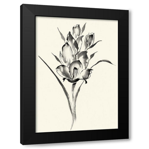 Ink Wash Floral II - Gladiolus Black Modern Wood Framed Art Print by Rae, Nan