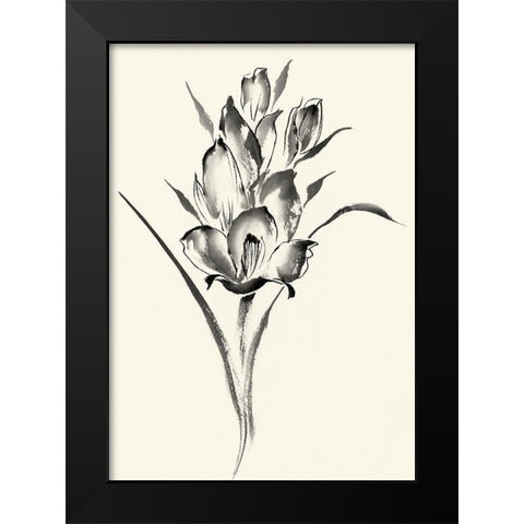 Ink Wash Floral II - Gladiolus Black Modern Wood Framed Art Print by Rae, Nan