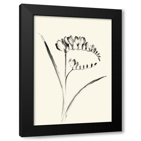 Ink Wash Floral VI - Freesia Black Modern Wood Framed Art Print with Double Matting by Rae, Nan