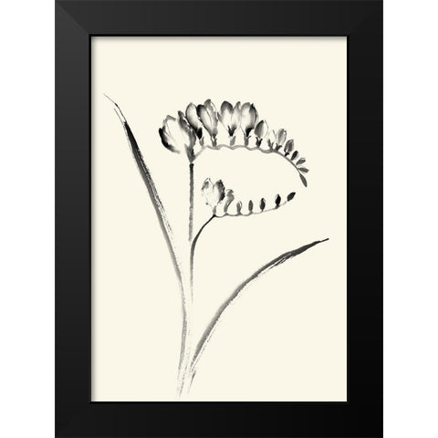 Ink Wash Floral VI - Freesia Black Modern Wood Framed Art Print by Rae, Nan