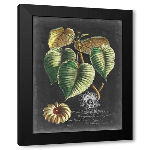 Royal Foliage I Black Modern Wood Framed Art Print with Double Matting by Vision Studio