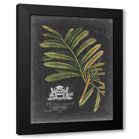 Royal Foliage II Black Modern Wood Framed Art Print with Double Matting by Vision Studio