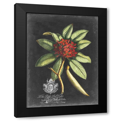 Royal Foliage III Black Modern Wood Framed Art Print with Double Matting by Vision Studio