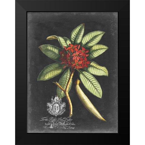 Royal Foliage III Black Modern Wood Framed Art Print by Vision Studio