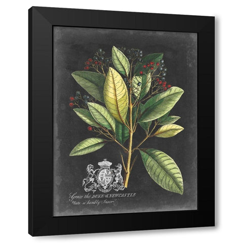 Royal Foliage IV Black Modern Wood Framed Art Print by Vision Studio