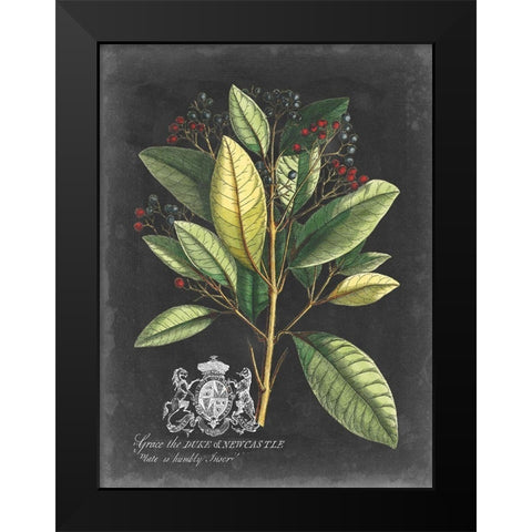 Royal Foliage IV Black Modern Wood Framed Art Print by Vision Studio