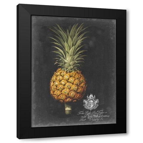 Royal Brookshaw Pineapple II Black Modern Wood Framed Art Print by Brookshaw, George