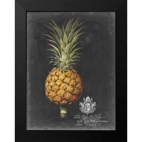 Royal Brookshaw Pineapple II Black Modern Wood Framed Art Print by Brookshaw, George