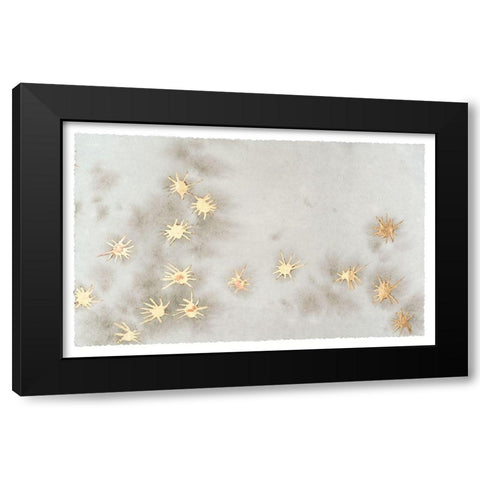 Spangled Grey I Black Modern Wood Framed Art Print by Binder, Vanessa