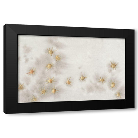 Spangled Grey I Black Modern Wood Framed Art Print by Binder, Vanessa