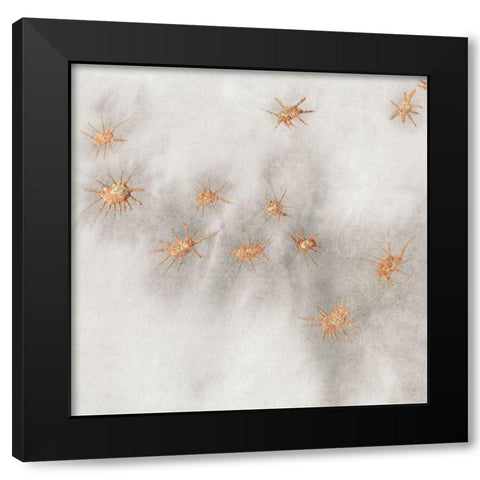 Spangled Grey III Black Modern Wood Framed Art Print with Double Matting by Binder, Vanessa