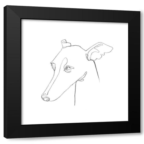 Greyhound Pencil Portrait I Black Modern Wood Framed Art Print with Double Matting by Scarvey, Emma