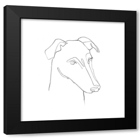 Greyhound Pencil Portrait II Black Modern Wood Framed Art Print by Scarvey, Emma