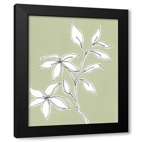 Botanic Drawing I Black Modern Wood Framed Art Print by Moore, Regina