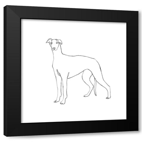 Greyhound Pencil Sketch II Black Modern Wood Framed Art Print with Double Matting by Scarvey, Emma