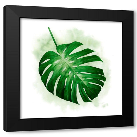 Palm Wash I Black Modern Wood Framed Art Print with Double Matting by Popp, Grace