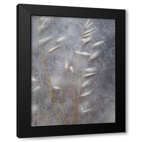 Moonlit Dream II Black Modern Wood Framed Art Print with Double Matting by Bane, Eva
