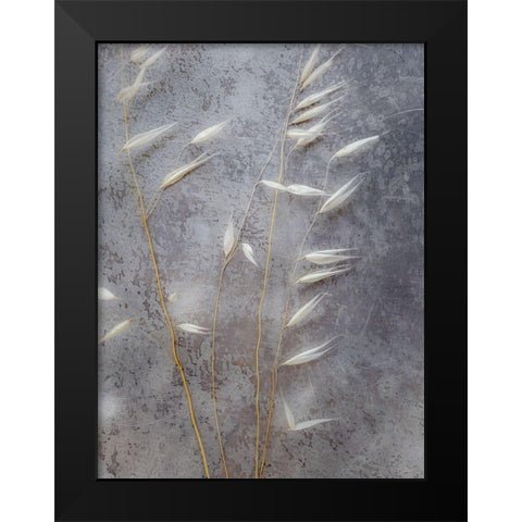 Moonlit Dream II Black Modern Wood Framed Art Print by Bane, Eva