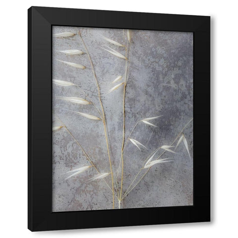 Moonlit Dream III Black Modern Wood Framed Art Print by Bane, Eva