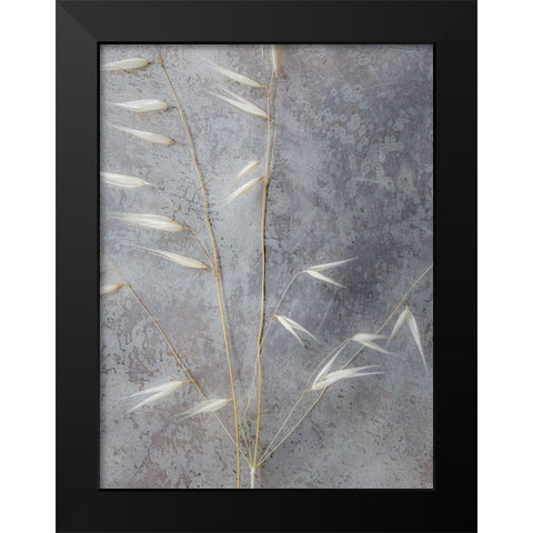 Moonlit Dream III Black Modern Wood Framed Art Print by Bane, Eva
