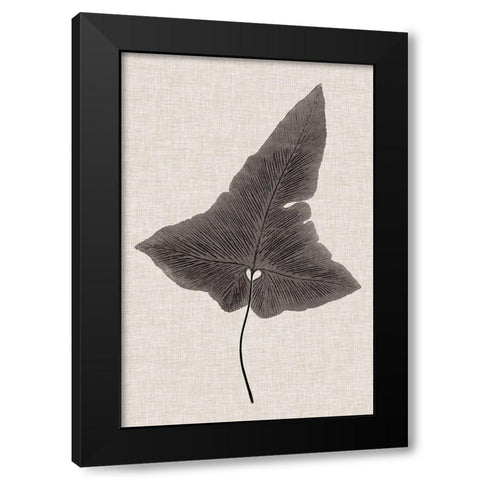 Custom Fern Family I (LG) Black Modern Wood Framed Art Print with Double Matting by Lowe