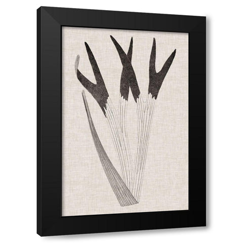 Custom Fern Family II (LG) Black Modern Wood Framed Art Print with Double Matting by Lowe