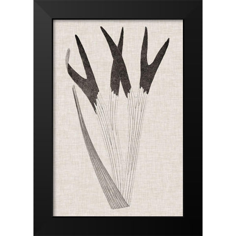 Custom Fern Family II (LG) Black Modern Wood Framed Art Print by Lowe