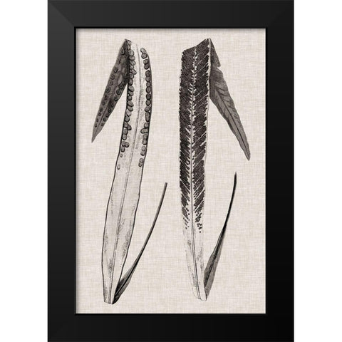 Custom Fern Family IV (LG) Black Modern Wood Framed Art Print by Lowe