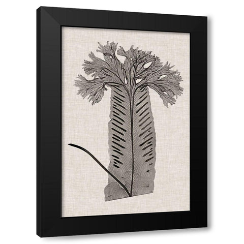 Custom Fern Family V (LG) Black Modern Wood Framed Art Print with Double Matting by Lowe