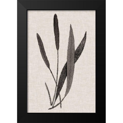 Custom Fern Family VI (LG) Black Modern Wood Framed Art Print by Lowe
