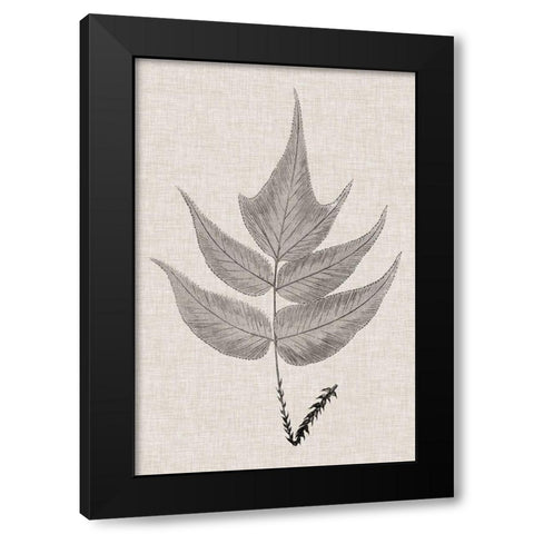 Custom Fern Family VII (LG) Black Modern Wood Framed Art Print by Lowe