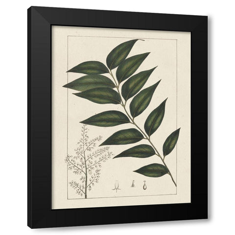 Custom Silva Leaves III (ASH) Black Modern Wood Framed Art Print with Double Matting by Silva, John