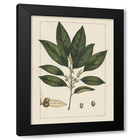 Custom Silva Leaves IV (ASH) Black Modern Wood Framed Art Print with Double Matting by Silva, John
