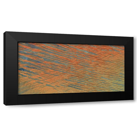 Desert Patterns I Black Modern Wood Framed Art Print by Ludwig, Alicia
